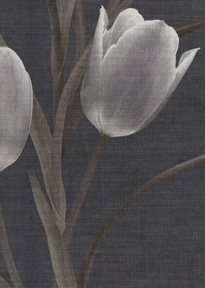 La Vie En Tulipe, Black | Rebel Walls