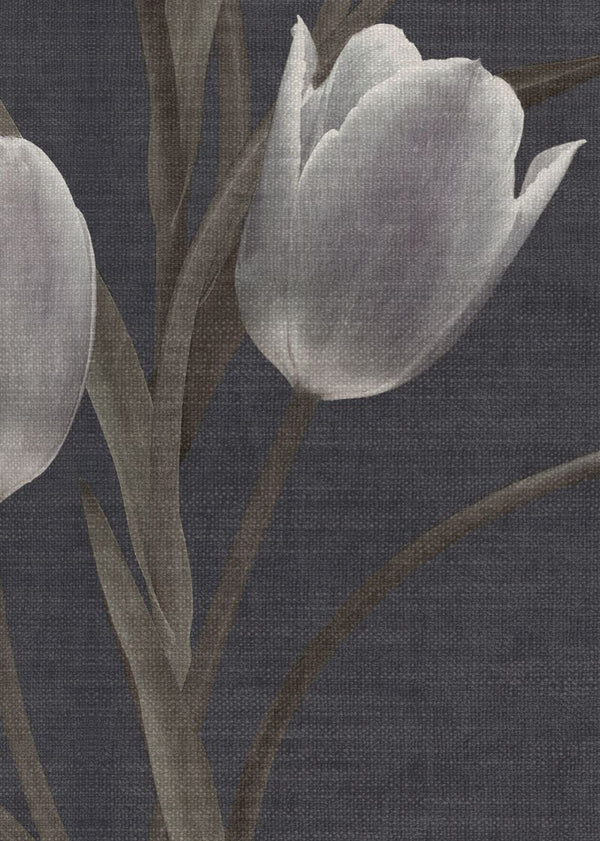 La Vie En Tulipe, Black | Rebel Walls