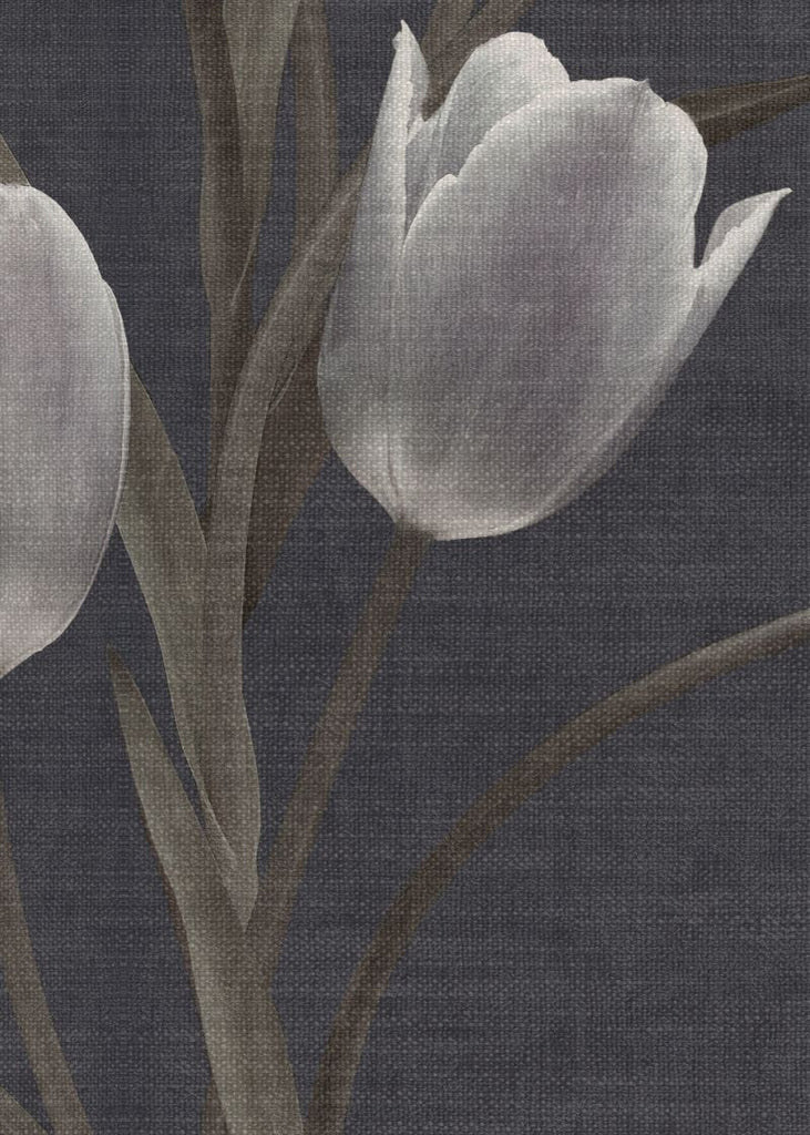 Exclusively at Designer Wallcoverings and Fabrics
