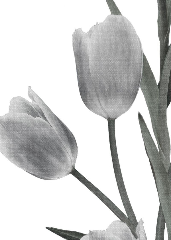 La Vie En Tulipe, White | Rebel Walls