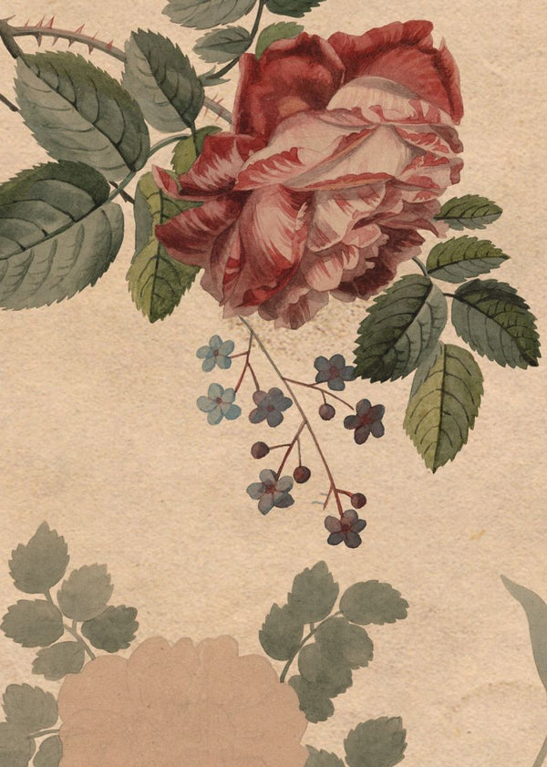 Rosegarden | Rebel Walls