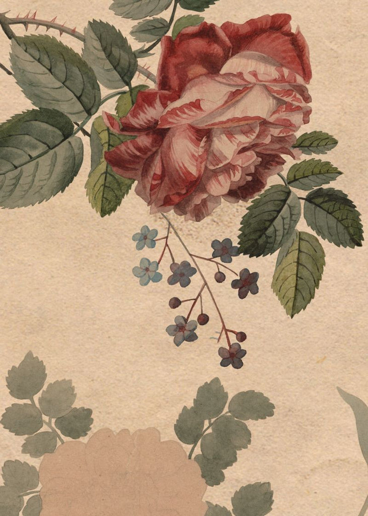 Exclusively at Designer Wallcoverings and Fabrics