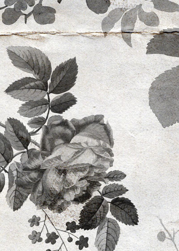 Rosegarden, Black | Rebel Walls