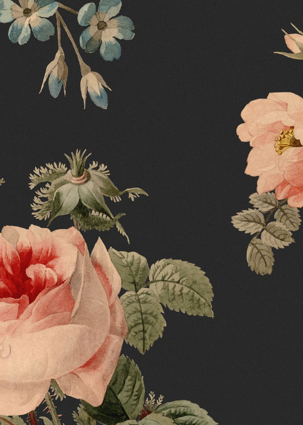 Thorn Rose | Rebel Walls