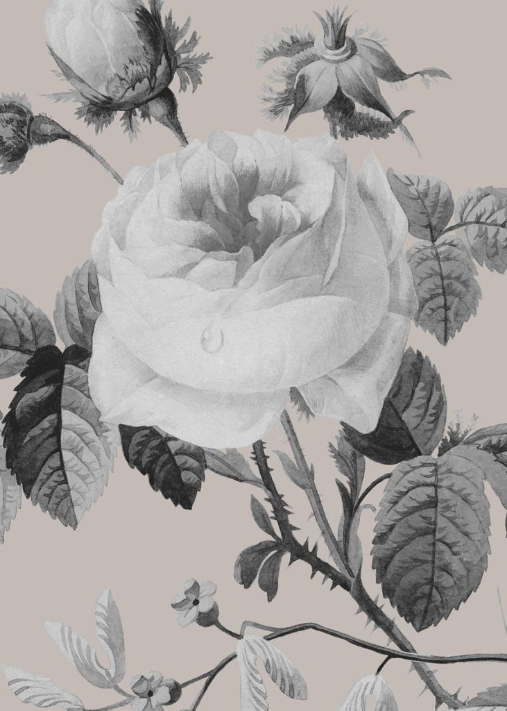 Exclusively at Designer Wallcoverings and Fabrics