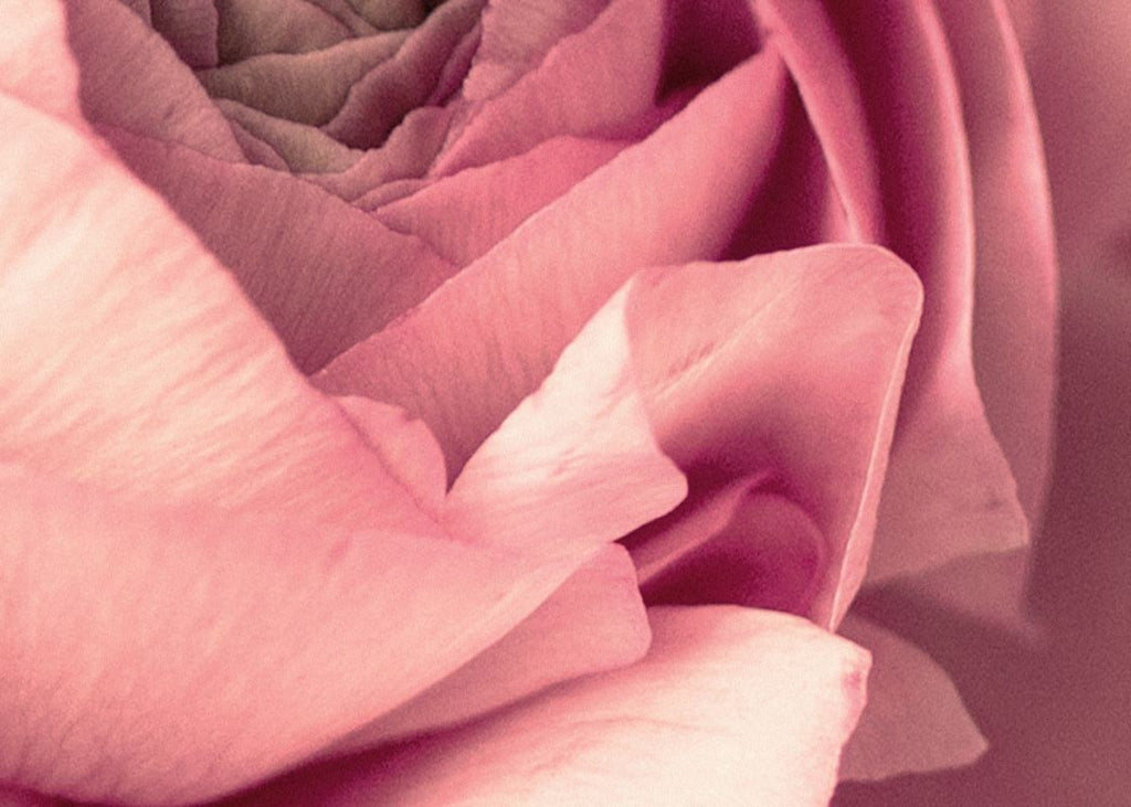 Exclusively at Designer Wallcoverings and Fabrics