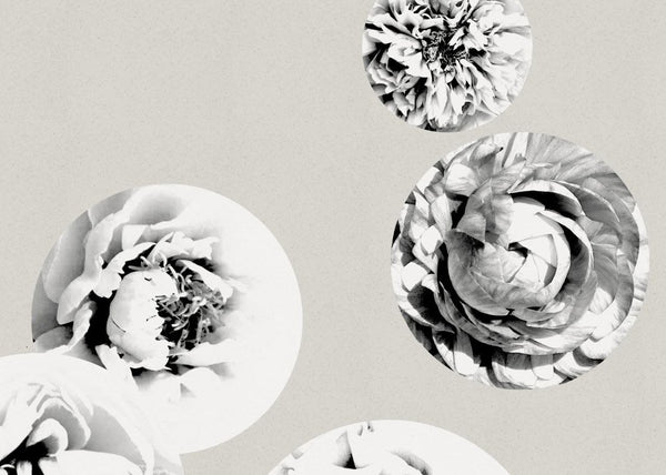Make It Bloom | Rebel Walls