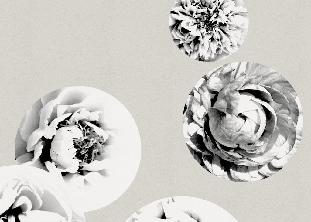 Exclusively at Designer Wallcoverings and Fabrics