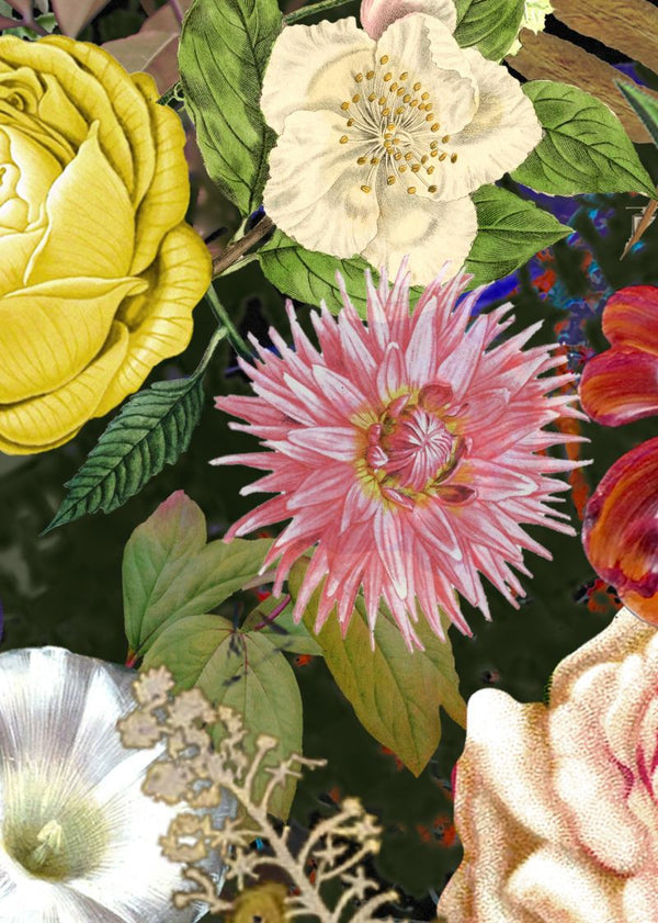 Meadow, Color | Rebel Walls
