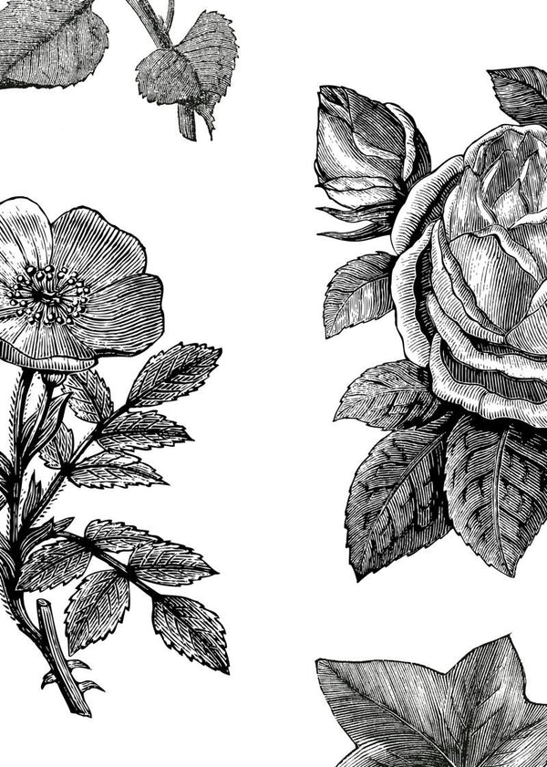 Fruit & Flora | Rebel Walls