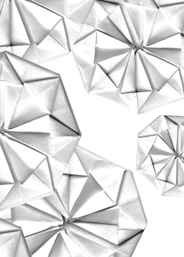 Florigami | Rebel Walls