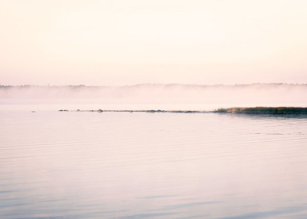 Misty Water | Rebel Walls