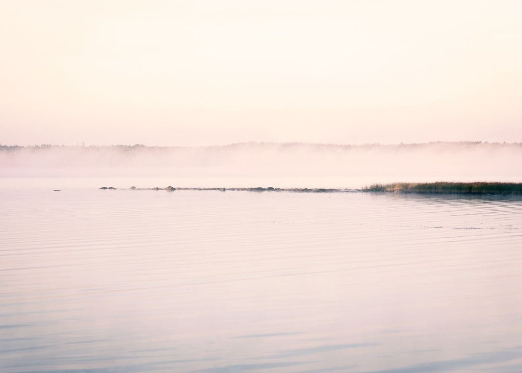 Exclusively at Designer Wallcoverings and Fabrics