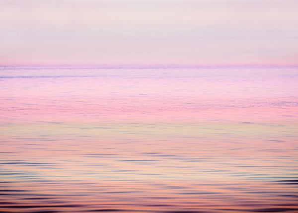 Paradise Breeze | Rebel Walls