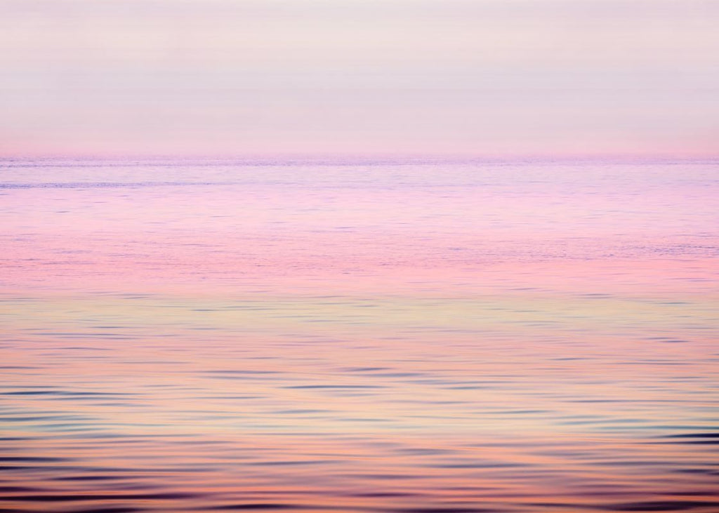 Exclusively at Designer Wallcoverings and Fabrics