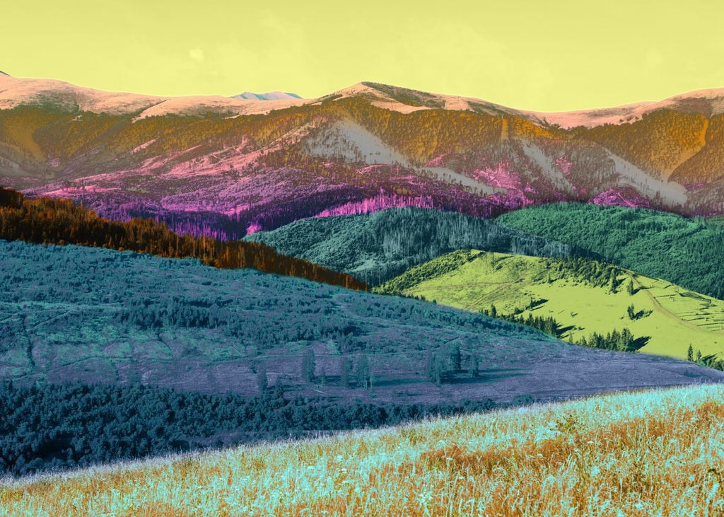 Exclusively at Designer Wallcoverings and Fabrics