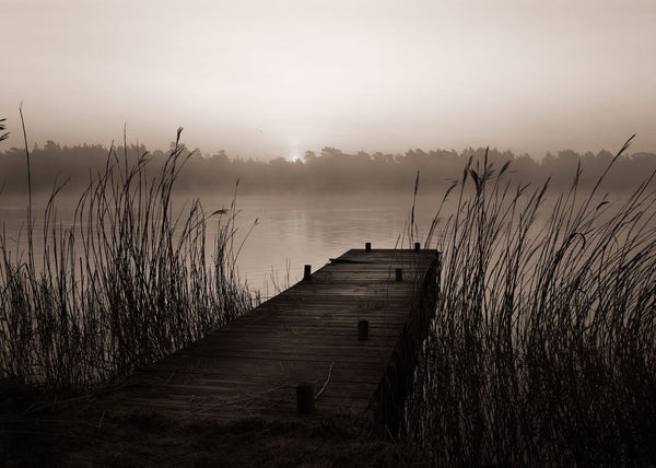 Misty Lake | Rebel Walls