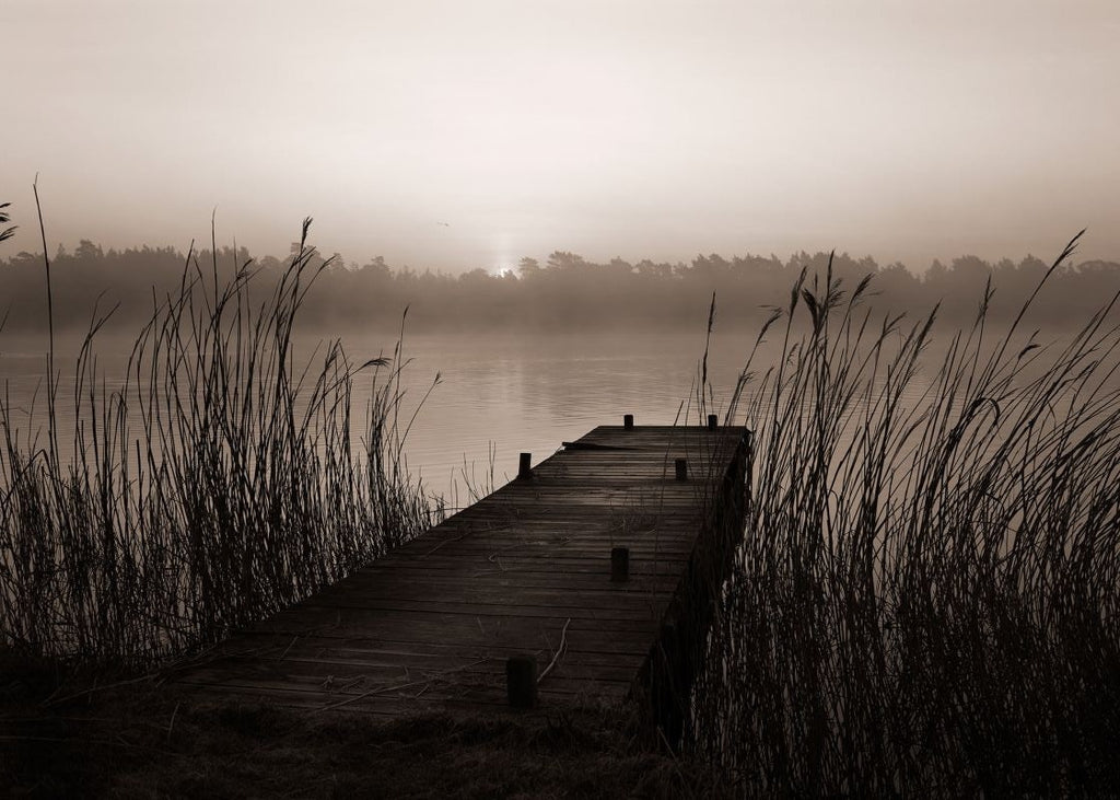 Exclusively at Designer Wallcoverings and Fabrics