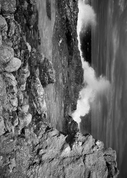 Wild Waves | Rebel Walls