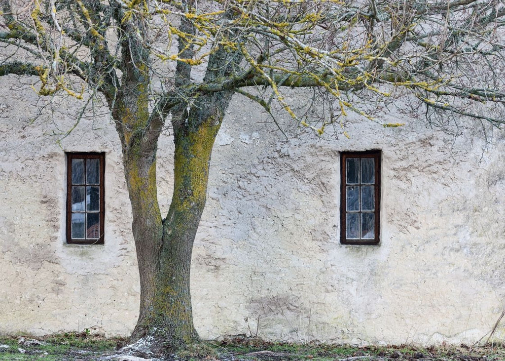 Exclusively at Designer Wallcoverings and Fabrics