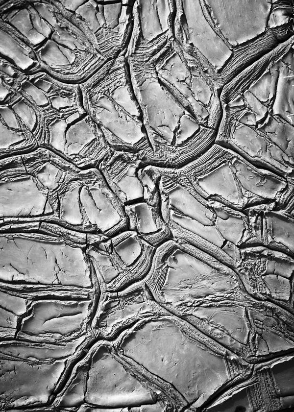 Dried Clay | Rebel Walls