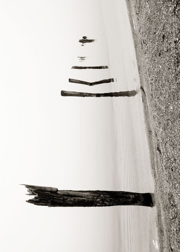 Shoreline | Rebel Walls