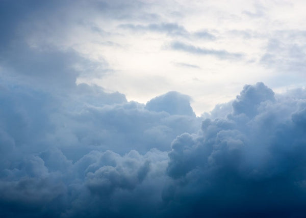 Above The Clouds | Rebel Walls