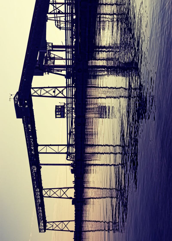 Harbor Happenings | Rebel Walls