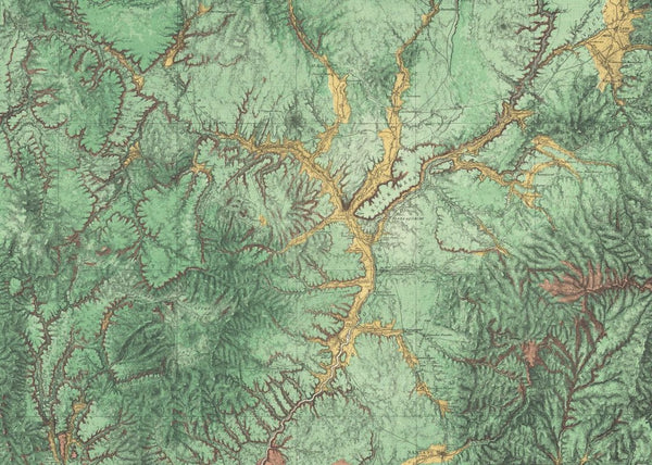 Woodland | Rebel Walls