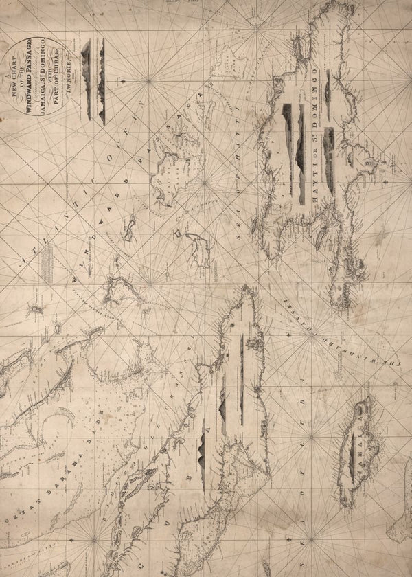 Navigation Lines | Rebel Walls
