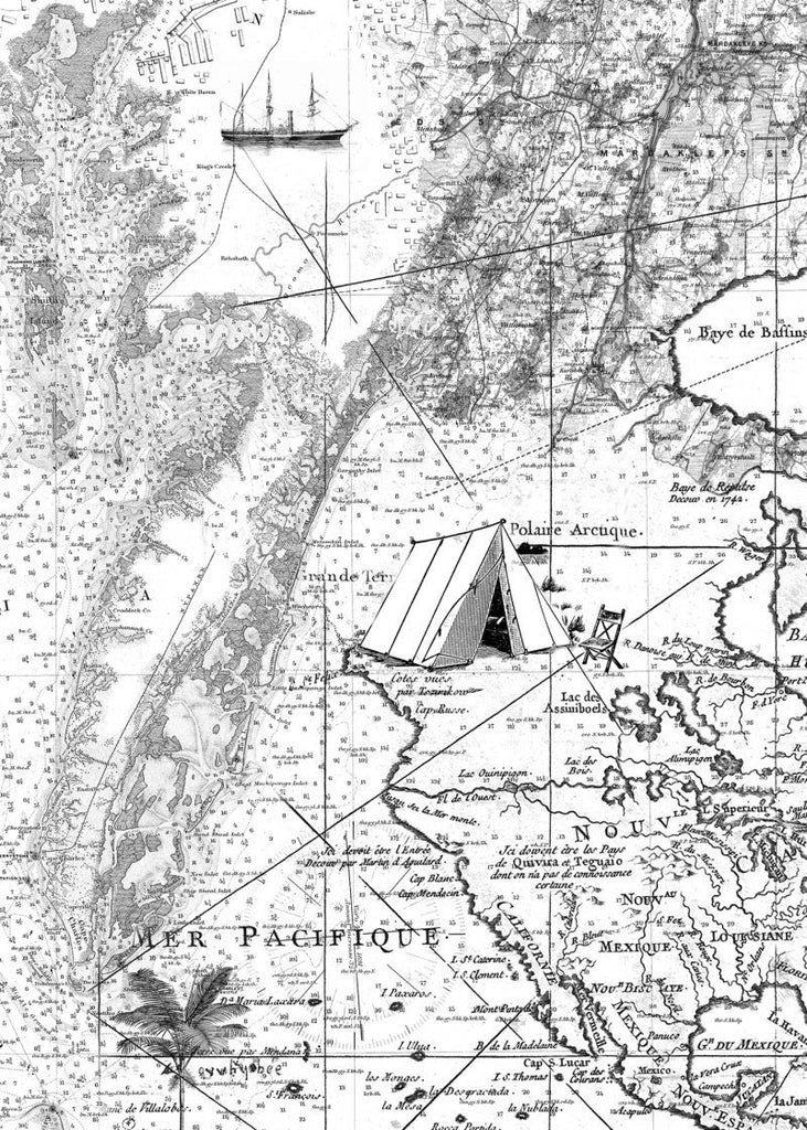 Exclusively at Designer Wallcoverings and Fabrics