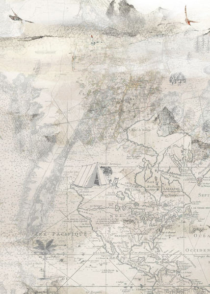 Exclusively at Designer Wallcoverings and Fabrics