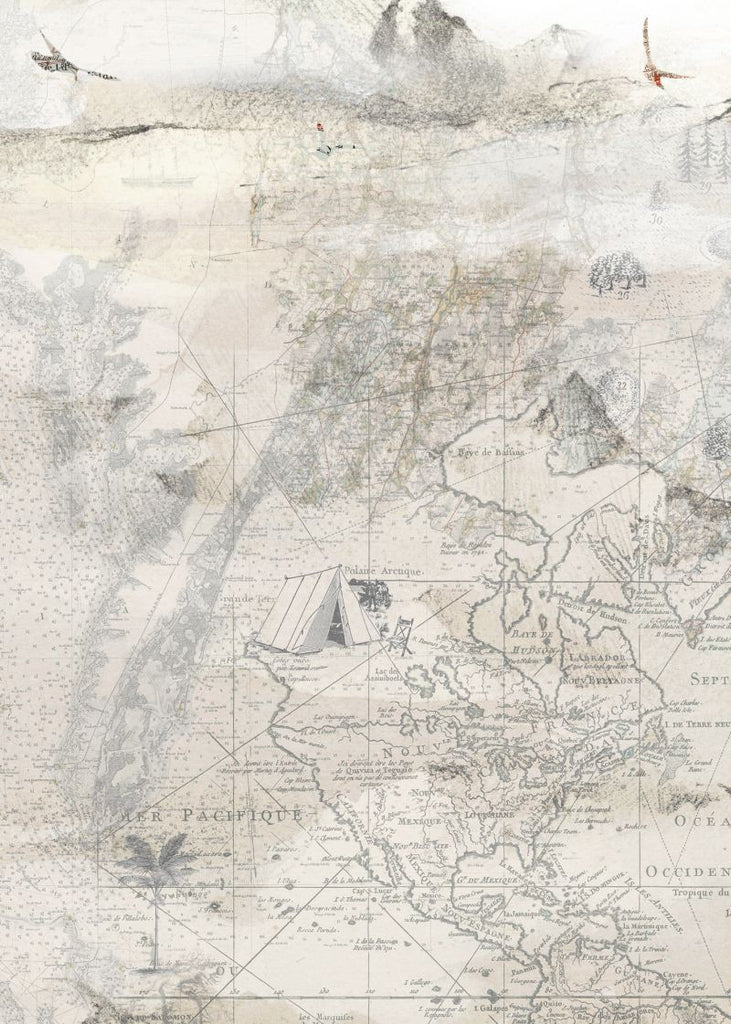 Exclusively at Designer Wallcoverings and Fabrics