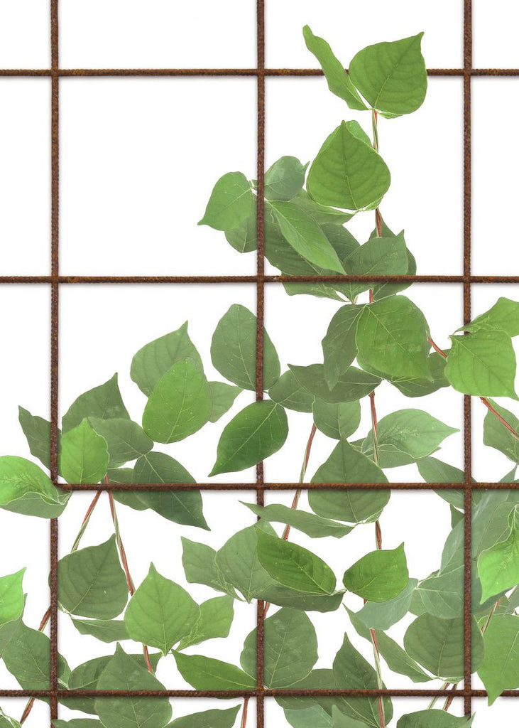 Exclusively at Designer Wallcoverings and Fabrics