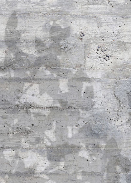 Climbing Clorofyl, Shadow | Rebel Walls