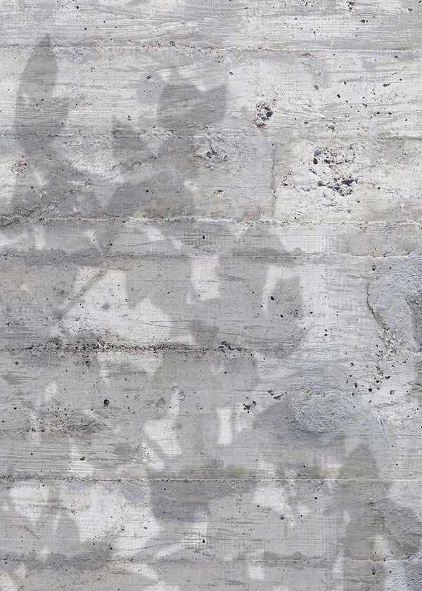 Climbing Clorofyl, Shadow | Rebel Walls