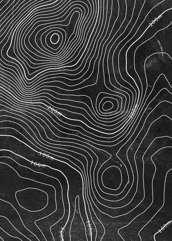 Elevation Lines, Black | Rebel Walls