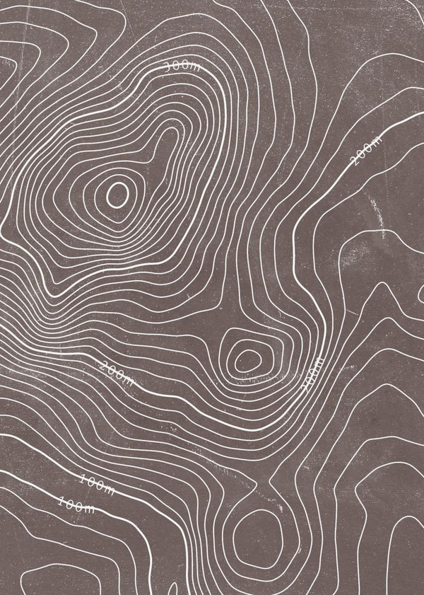 Elevation Lines | Rebel Walls