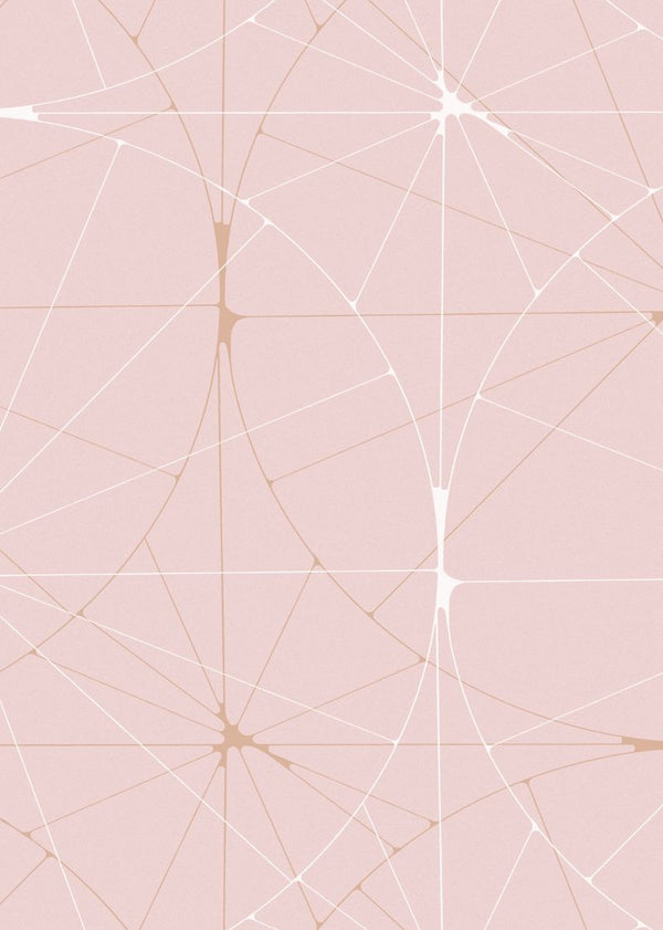 Perfect Fit Powder Pink | Rebel Walls