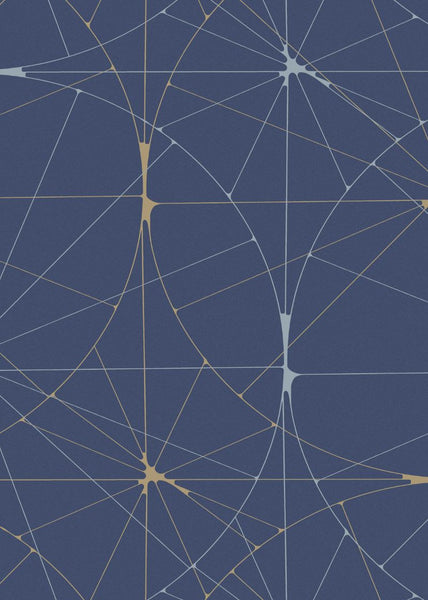 Exclusively at Designer Wallcoverings and Fabrics