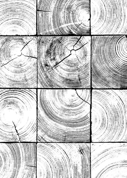 Age Rings | Rebel Walls