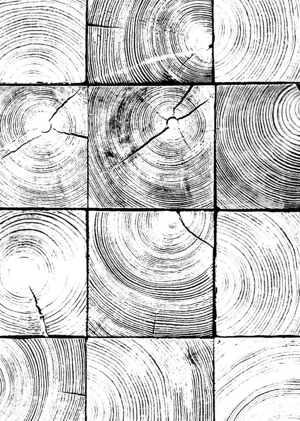 Age Rings | Rebel Walls