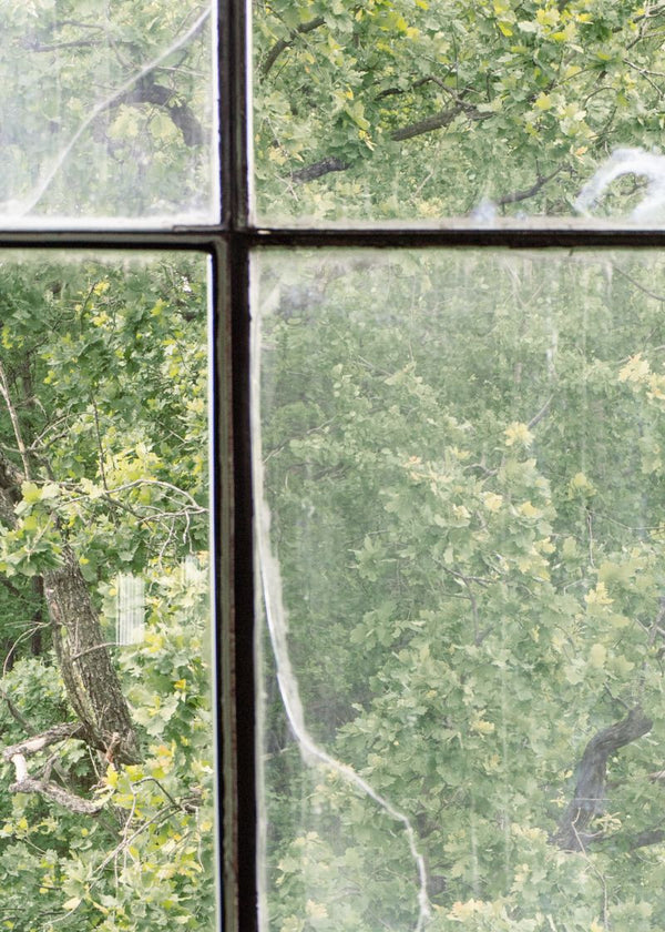 Factory Window | Rebel Walls