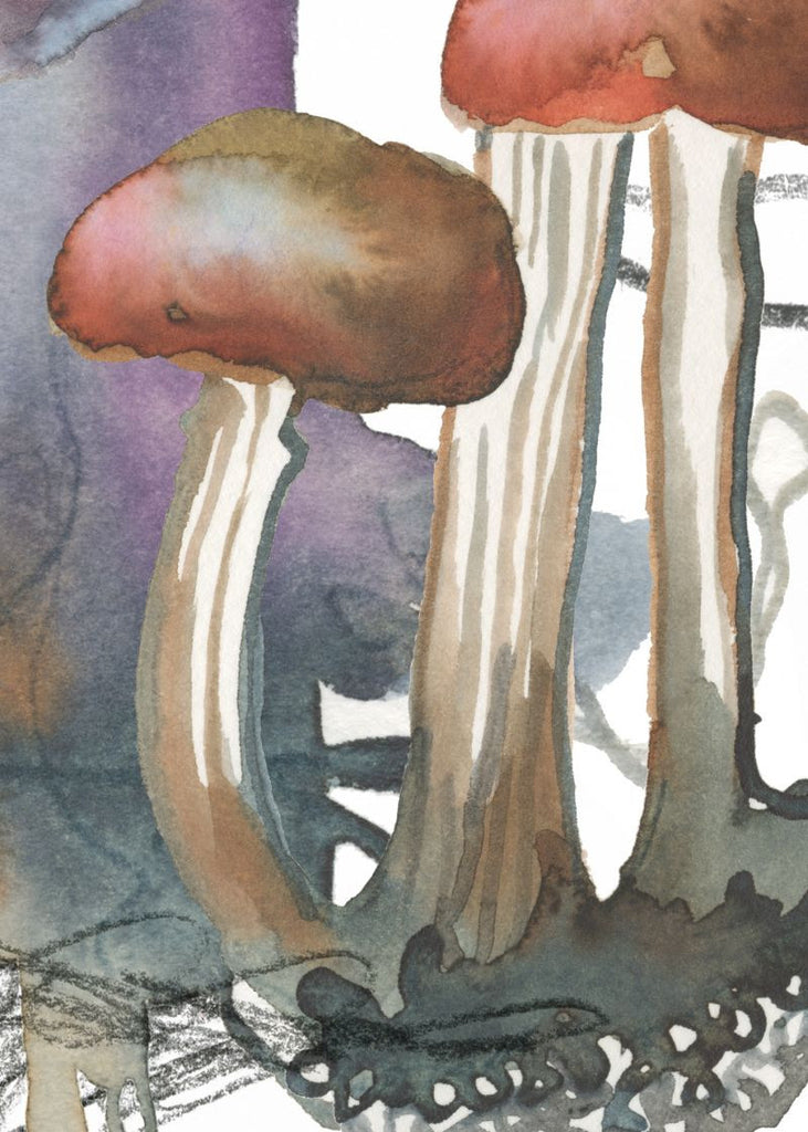 Exclusively at Designer Wallcoverings and Fabrics