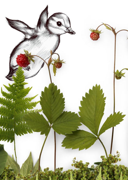 Exclusively at Designer Wallcoverings and Fabrics