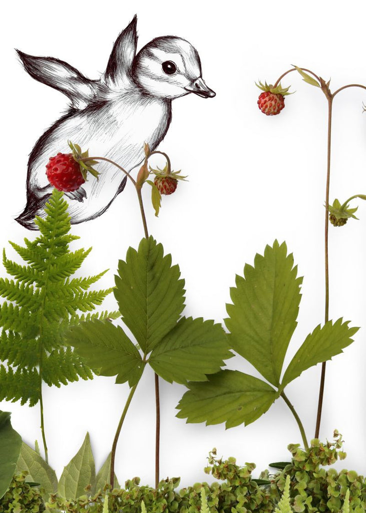 Exclusively at Designer Wallcoverings and Fabrics