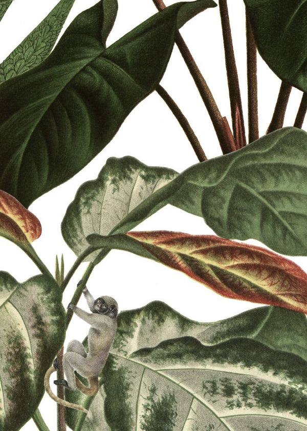 Mischievous Monkeys | Rebel Walls