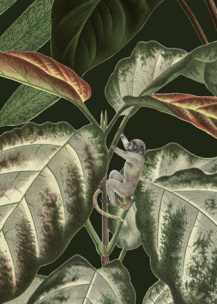 Exclusively at Designer Wallcoverings and Fabrics