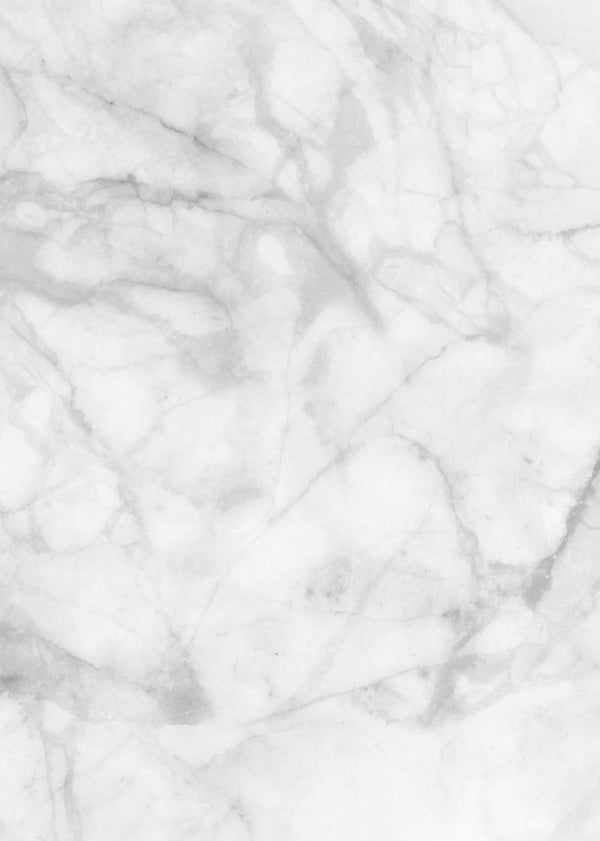 Noble Marble, White | Rebel Walls