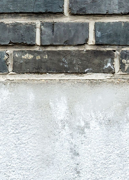 Top Floor | Rebel Walls